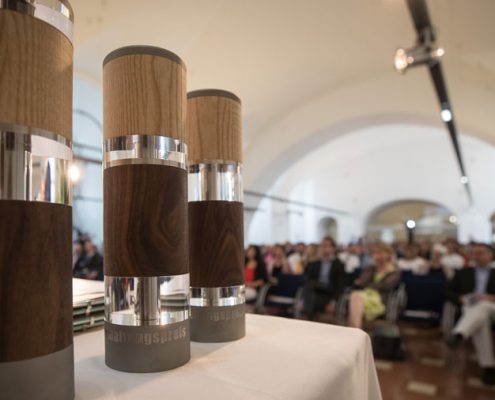 Wien gibt Raum gewinnt den Österreichischen Verwaltungspreis 2019